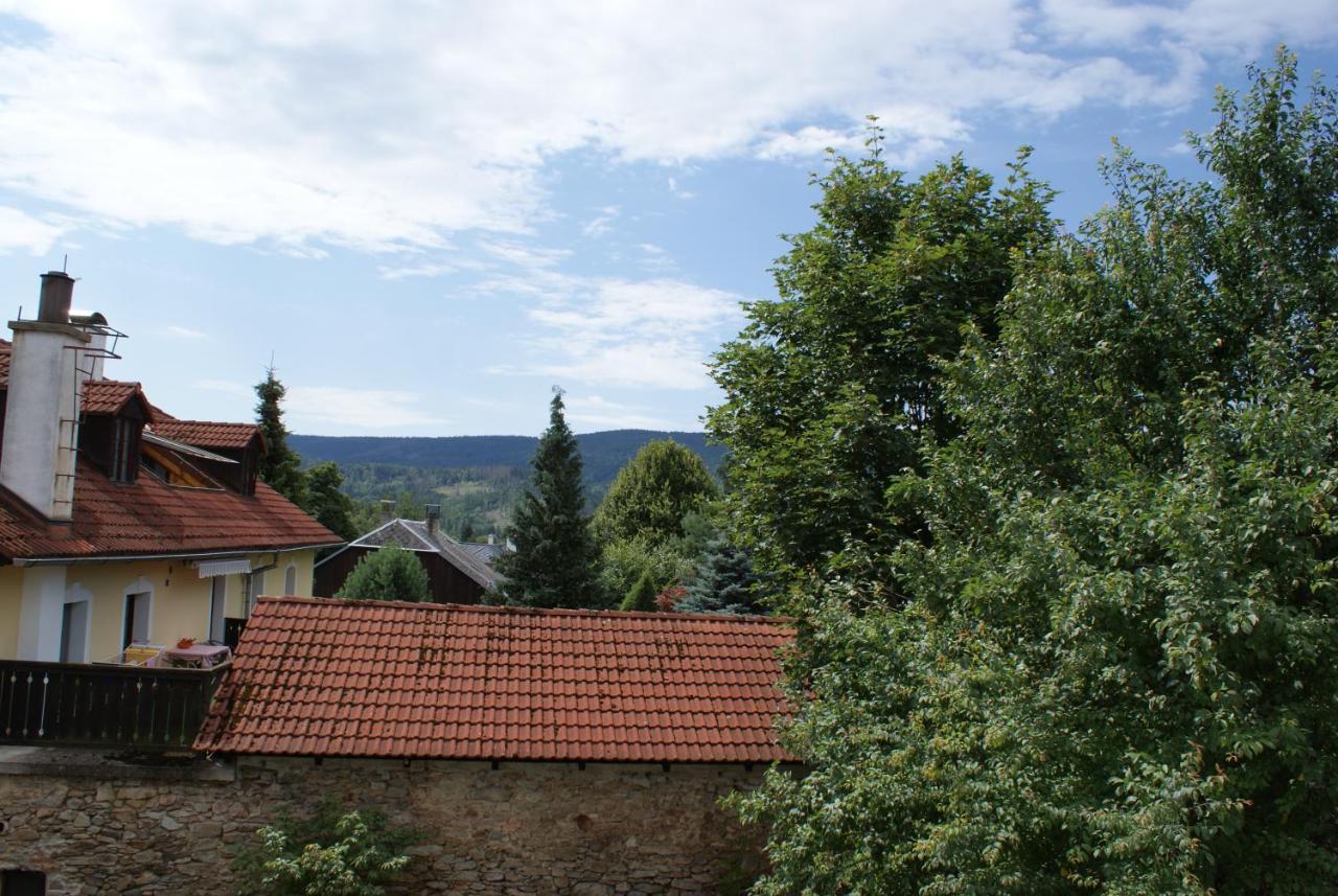 Rustikale Und Grosszuegige Ferienwohnung Kasperske Hory Extérieur photo